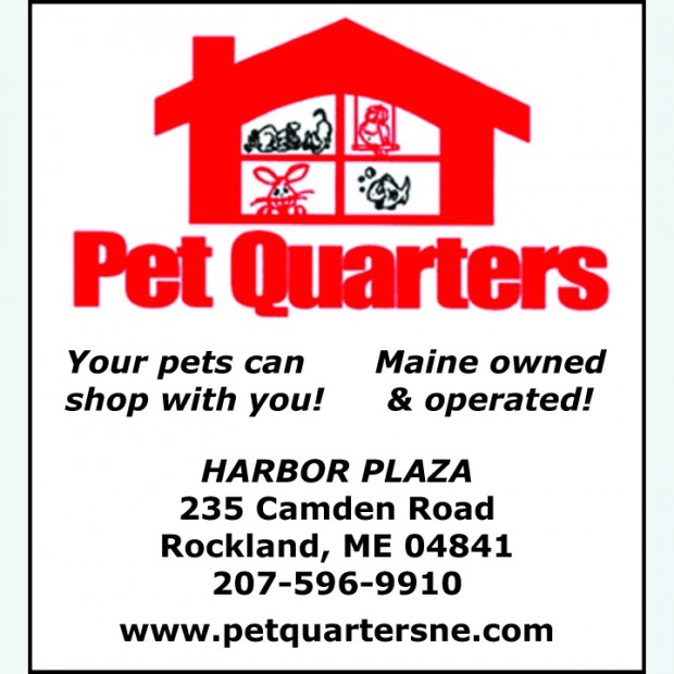 Pet quarters near me sale