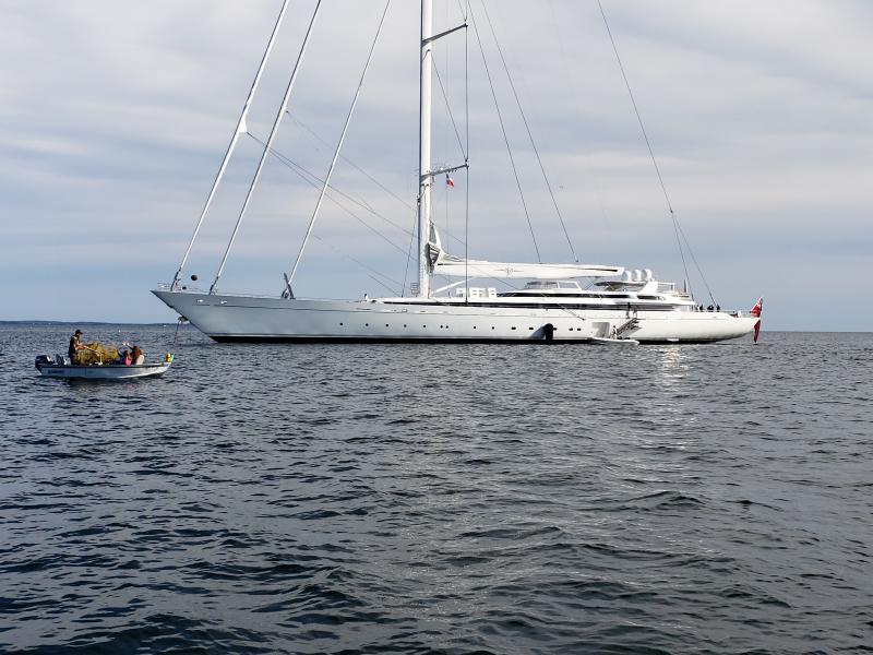 World s largest single masted sailing yacht visits Penobscot Bay