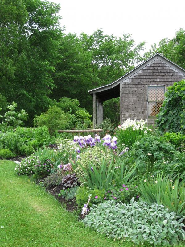 Using perennial plant combinations in the garden | PenBay Pilot on Perennial Design
 id=53783