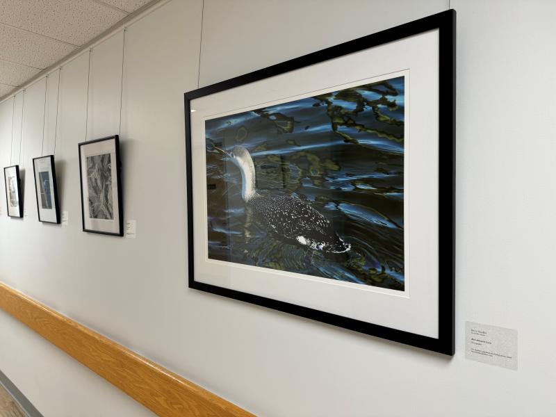 Works by Betsy Headley and Deborah Jellison exhibited at WCGH