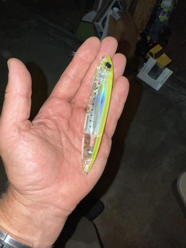 The lure that the loon suffered. (Photo courtesy Dominic Gioia) c