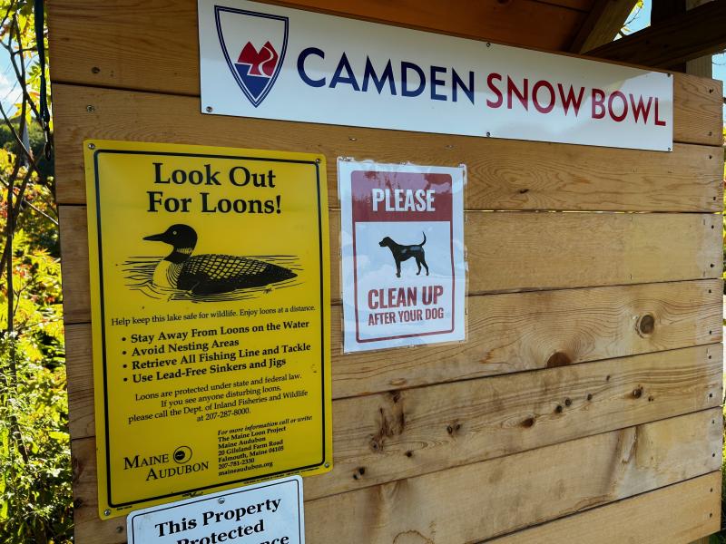 Look Out for Loons on Hosmer Pond. The warnings are clearly stated. Look Out for Loons on Hosmer Pond