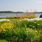 Summer on the River...we love our ever-changing views every day! The Lincoln Home Assisted lIving Newcastle Maine Vibrant Seniors