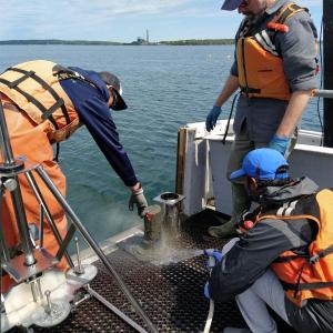 Sediment Sampling: The research team extracted a sediment core from below a commercial kelp farm aboard the Darling Marine Center’s research vessel Ira C in 2022. Samuel Tan photo Sediment Sampling: The research team extracted a sediment core from below a commercial kelp farm aboard the Darling Marine Center’s research vessel Ira C in 2022. Samuel Tan photo