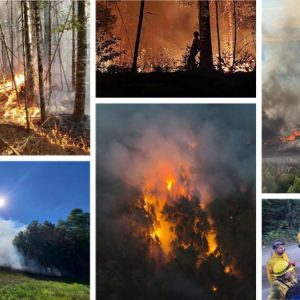 Campfires and open burns were two of the primary causes of wildfires this August, when Maine saw more wildfires than in any other August over the last 20 years, according to the Maine Forest Service. Photo collage by Erin Rhoda; photos courtesy Maine Forest Rangers. photos of wildfires.